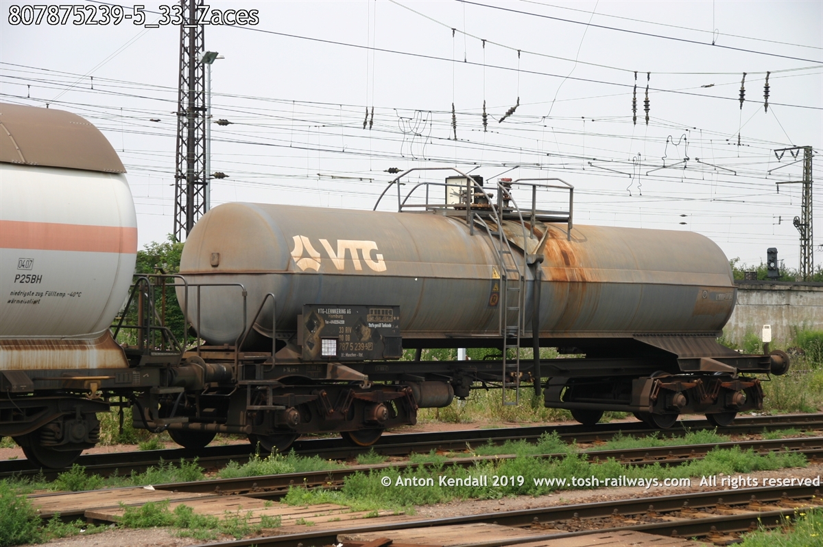 807875239-5_33_Zaces.jpg